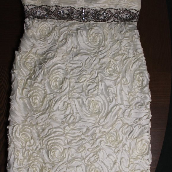 Formal/Wedding Dress - Picture 9 of 11